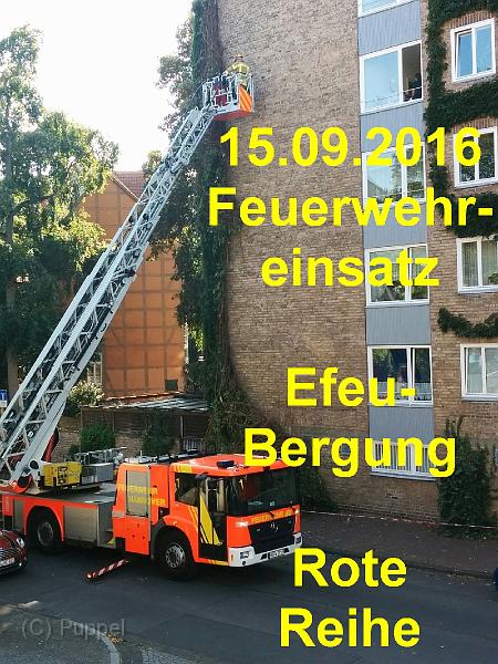2016/20160915 Rote Reihe Feuerwehr Efeu/index.html